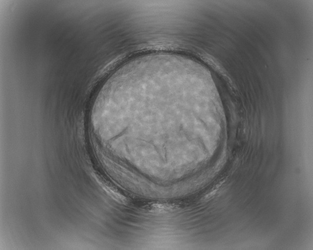 X0000066520442200604141818