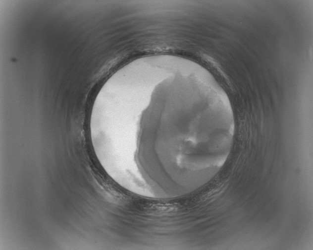 X0000066520443200604141818