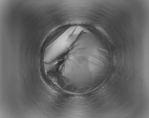 X0000066520444200604141818