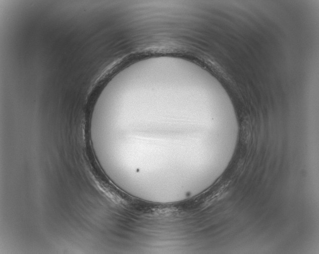 X0000066520446200604141818