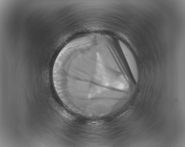 X0000066520447200604141818