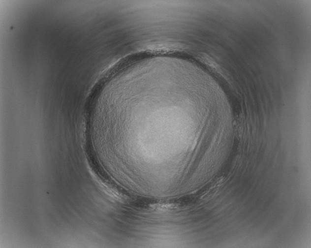 X0000066520448200604141818