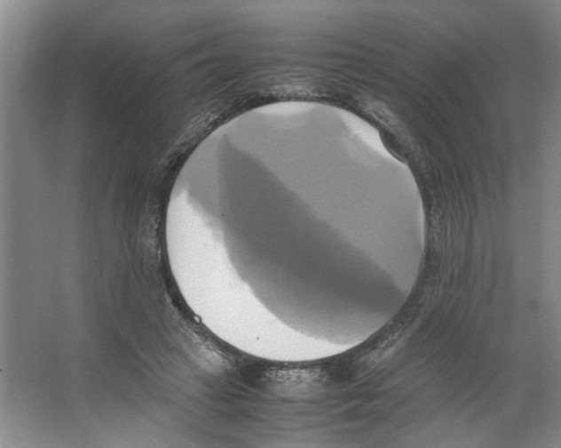 X0000066520449200604141818