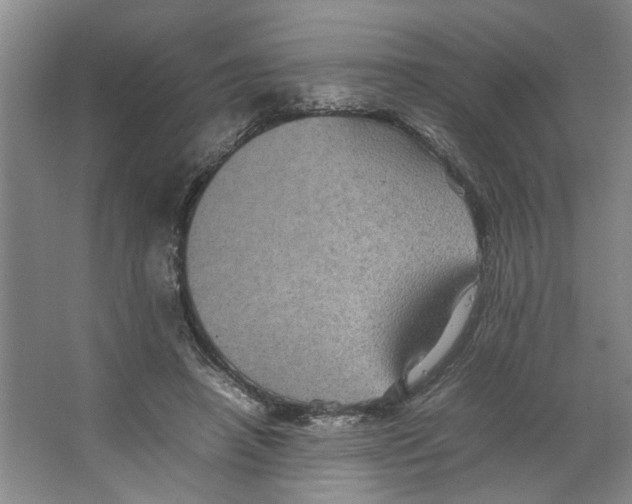 X0000066520450200604141818