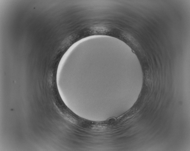 X0000066520451200604141818