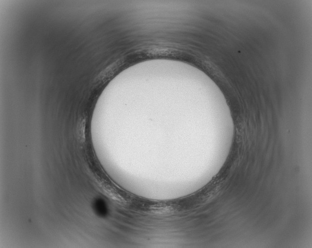 X0000066520454200604141818