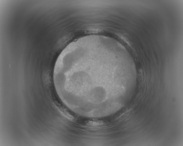 X0000066520455200604141818