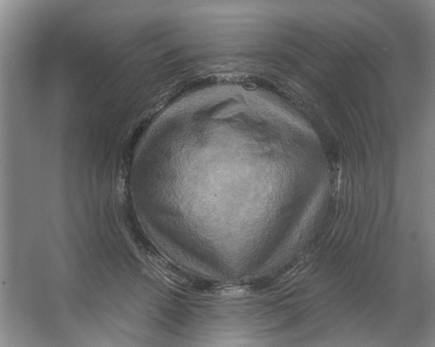 X0000066520456200604141818