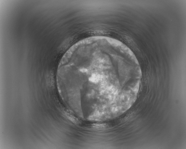 X0000066520457200604141818