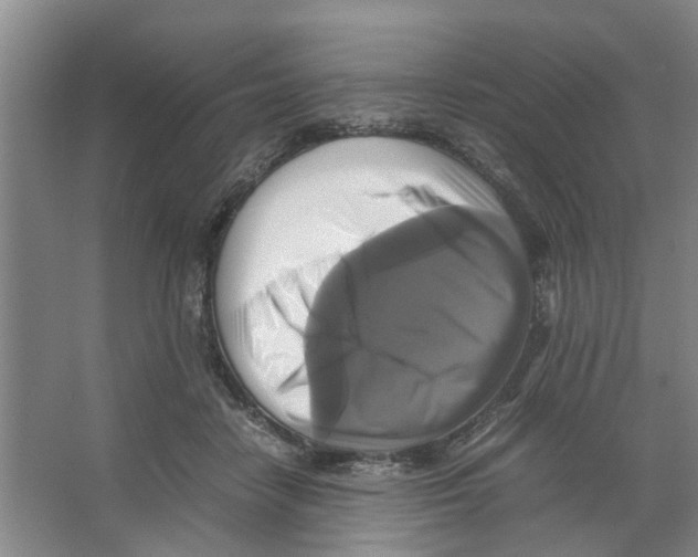 X0000066520458200604141818