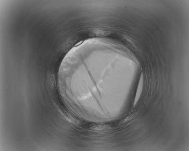 X0000066520459200604141818