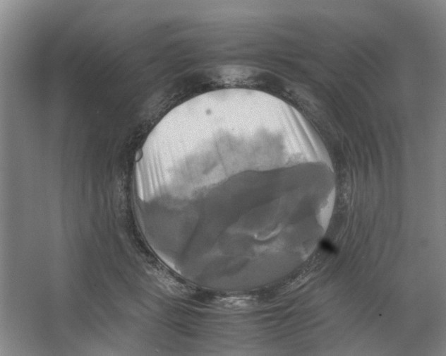 X0000066520461200604141818