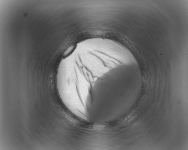 X0000066520462200604141818