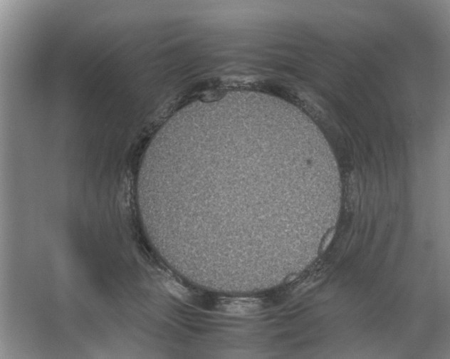 X0000066520463200604141818