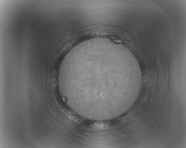 X0000066520464200604141818