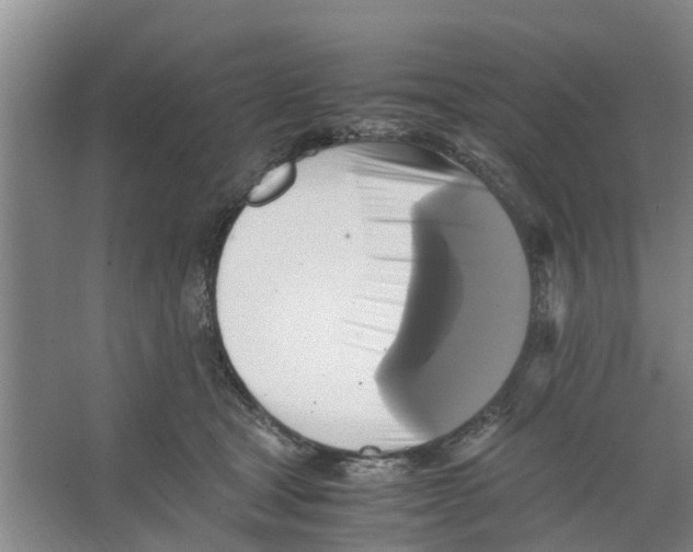 X0000066520465200604141818