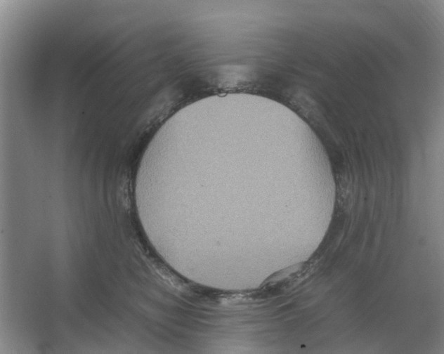 X0000066520470200604141818