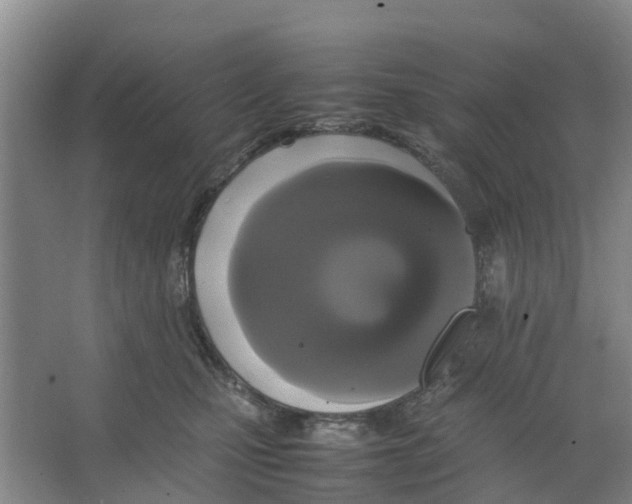 X0000066520471200604141818