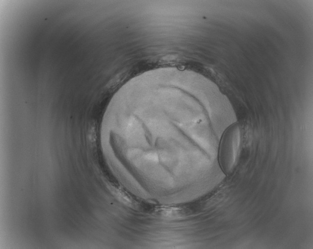 X0000066520472200604141818