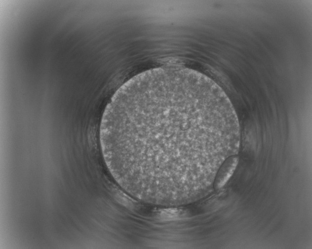 X0000066520473200604141818