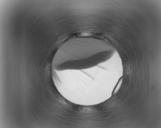 X0000066520475200604141818