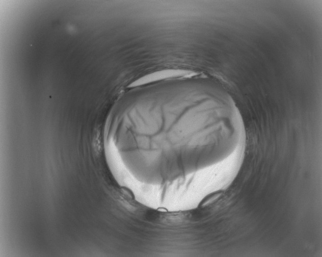 X0000066520479200604141819