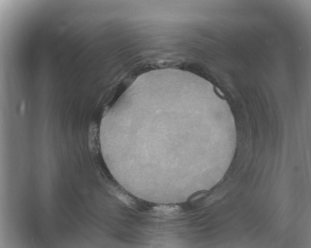 X0000066520480200604141819