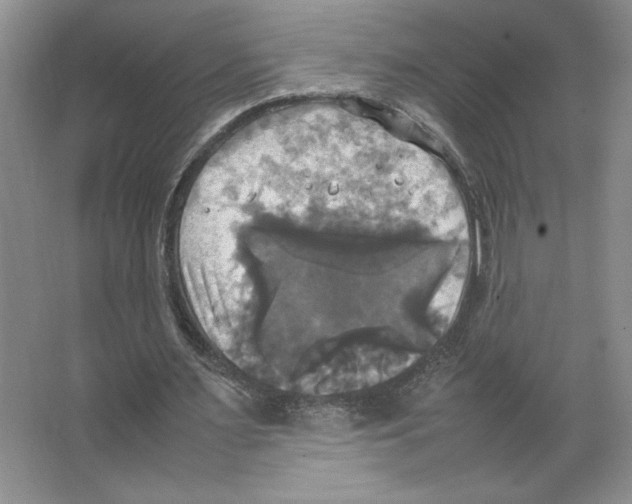 X0000066520483200604141818