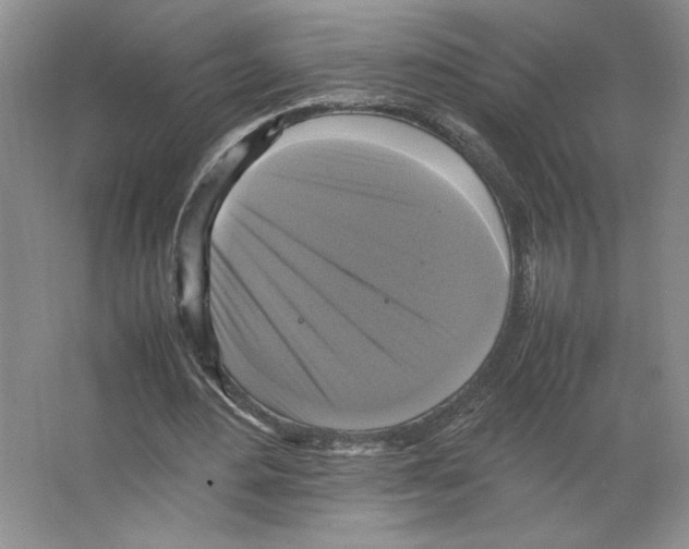 X0000066520484200604141818