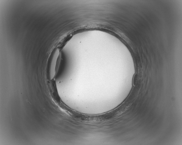 X0000066520485200604141818