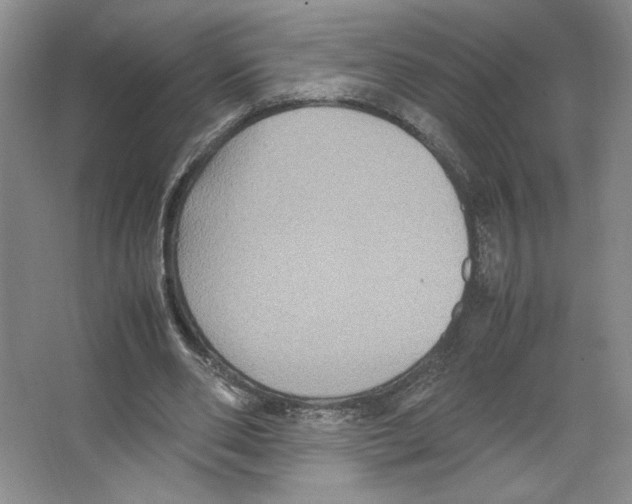 X0000066520486200604141818