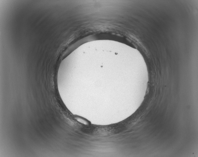 X0000066520489200604141818