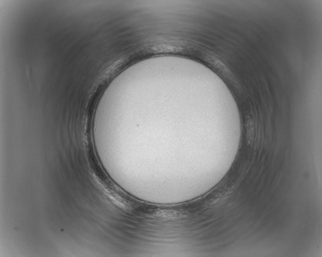 X0000066520490200604141818