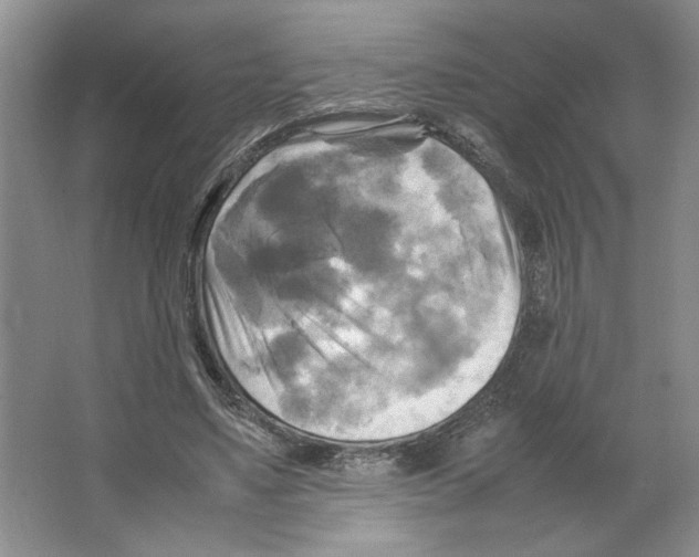 X0000066520491200604141818