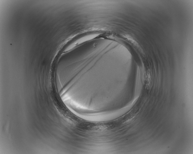 X0000066520492200604141818