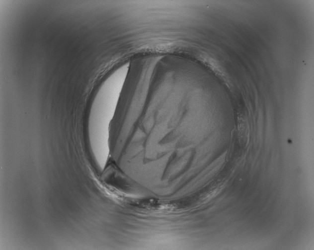 X0000066520493200604141818