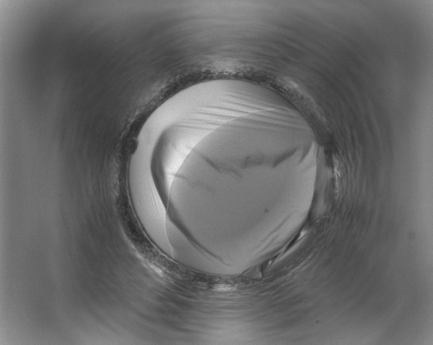 X0000066520496200604141817