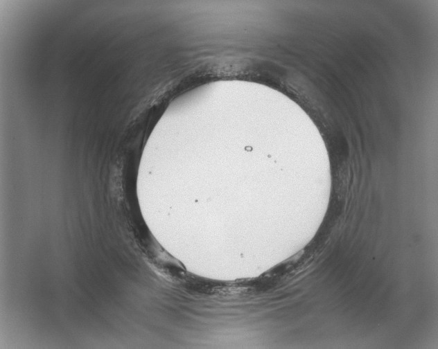 X0000066520497200604141817