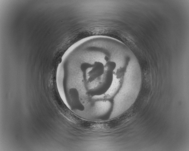 X0000066520499200604141817