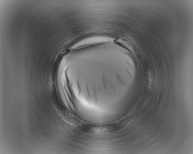 X0000066520500200604141817