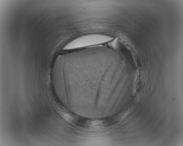 X0000066520501200604141817