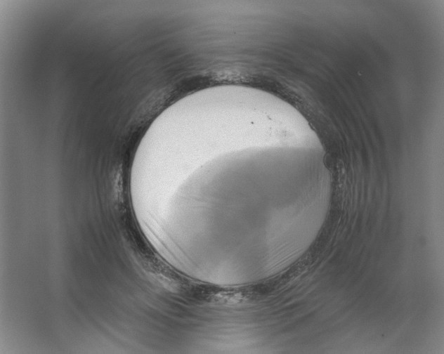 X0000066520502200604141817