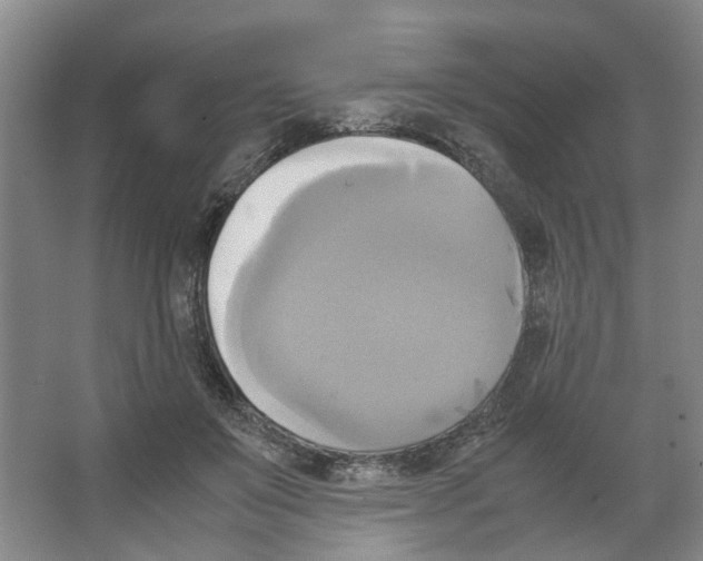 X0000066520503200604141817