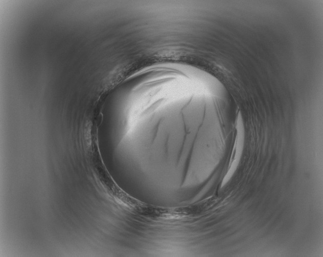 X0000066520504200604141817