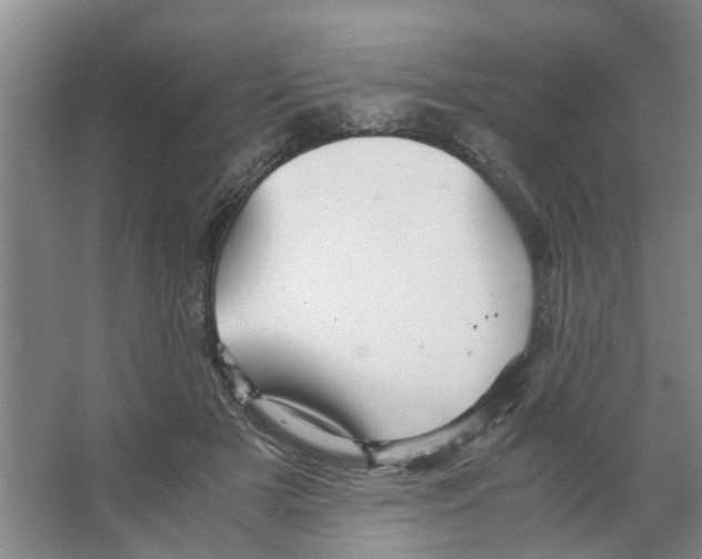 X0000066520505200604141817