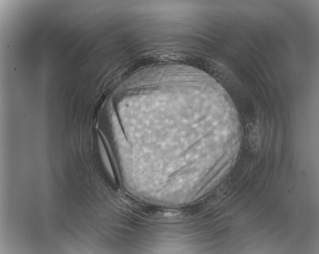 X0000066520506200604141817