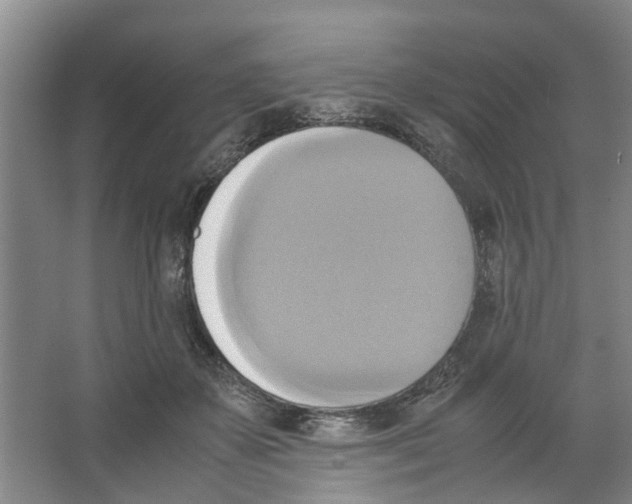 X0000066520507200604141817