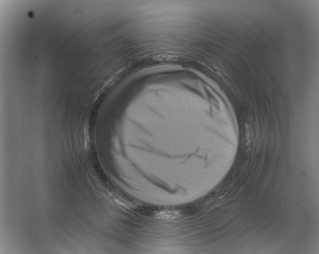 X0000066520508200604141817