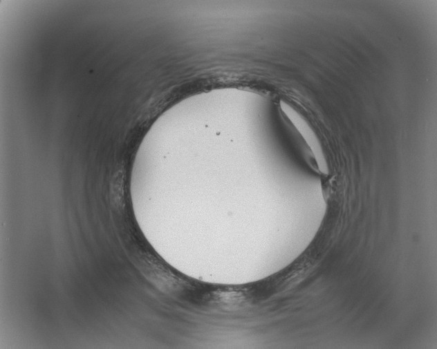 X0000066520509200604141817