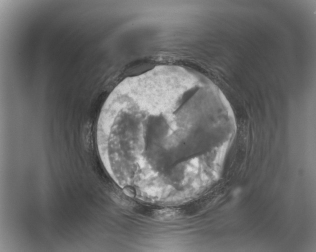 X0000066520511200604141817